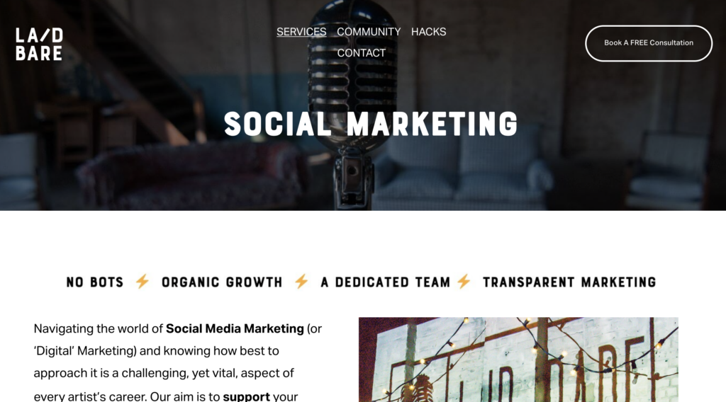 Social Media Growth Consultants for Artists
